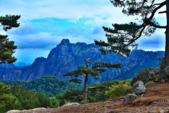 Corsica - outlook from pass Col de Bavella