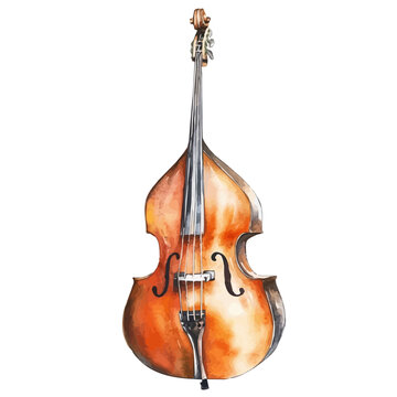 Watercolor illustration of Bass, isolated on white background