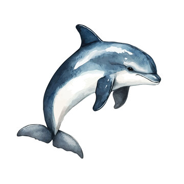 Porpoise, watercolor clipart isolated on white background