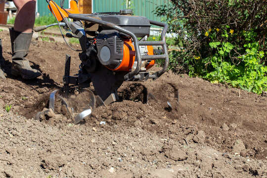 Gardener plowing garden with motor cultivator before planting potatoes