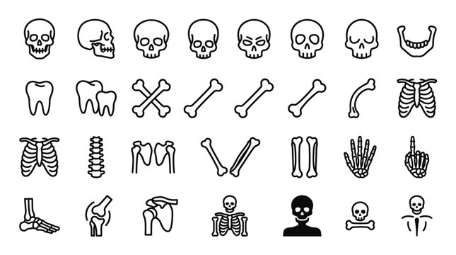 Halloween, Human bone icons set, 32 skeleton line vector elements. Medical anatomy skull and rib cage symbols for healthcare infographics. isolated on White Background