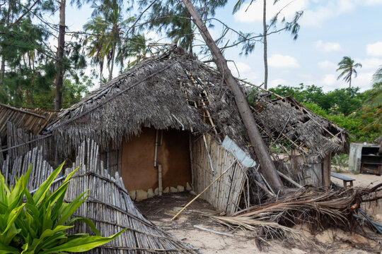 Tropical Cyclone Damage: A Thatched Hut in a Tropical Setting
