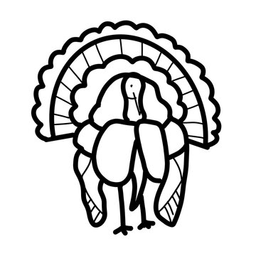 Thanksgiving fall season turkey animal Hand drawn Organic line doodle