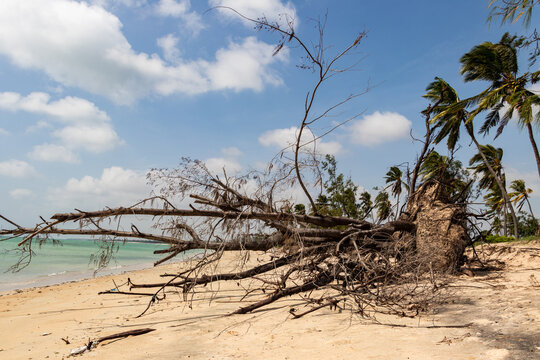Cyclone aftermath on Mozambique Beach