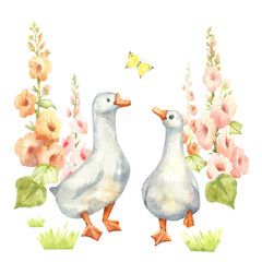 White geese and butterflies with pink mallow flowers. Hand drawn watercolor clipart with village painting for printing holiday Invitations and decorating the kitchen and rooms of a country house © Mila