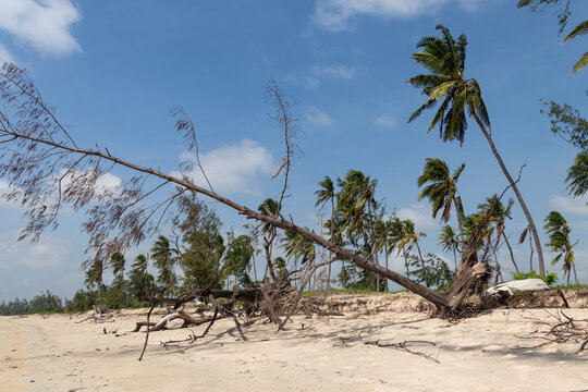 Cyclone aftermath on Mozambique beach
