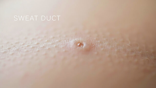 Microscopic view of a sweat pore on human skin texture