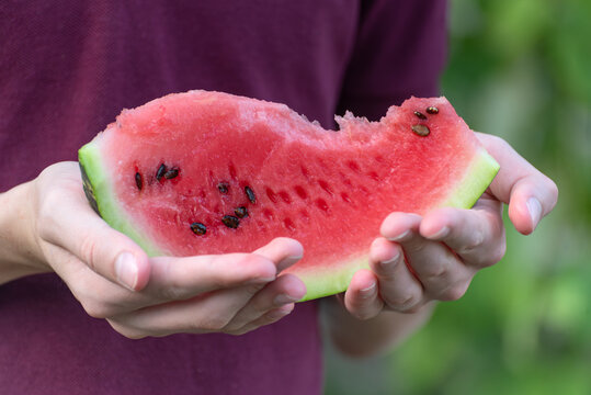 Person's hands holding a vibrant red slice of ripe watermelon with dark seeds and a green rind, providing a refreshing and sweet healthy snack during summertime