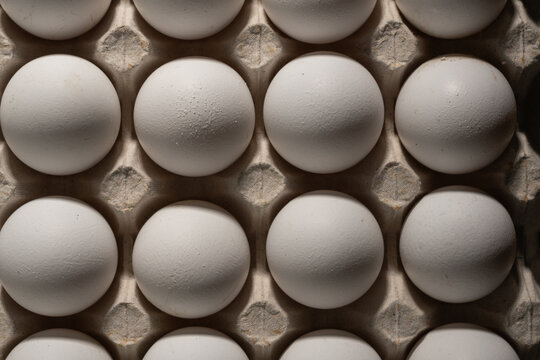 Fresh white chicken eggs arranged in egg carton