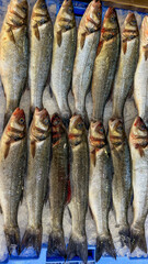 Fresh whole fish displayed on crushed ice at a seafood market. Rows of raw silver fish showing detailed scales and natural texture. © Viktoriia