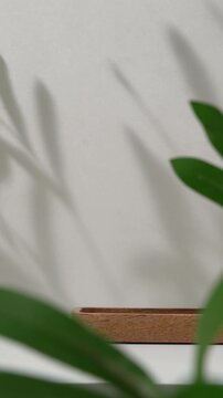 Cosmetic product presentation scene made with wooden podium with green plant leaves and leaf shadow with slow smooth camera zoom