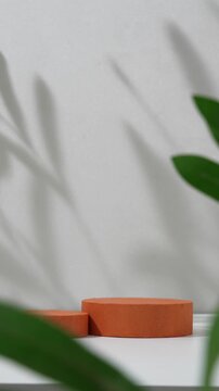 Elegant cosmetic product presentation scene made with a round  terracotta podium  and leaves shadow. Slow zoom in.