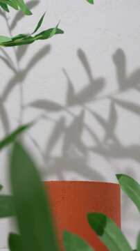 Product presentation scene made with terracotta cylinder podium and leaves shadow, slow zoom in