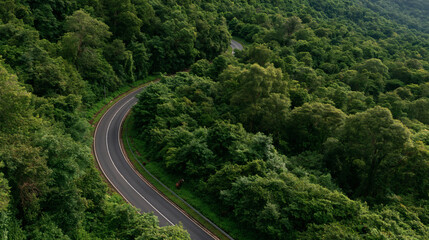 Fototapeta premium Winding Forest Road: An asphalt road curves through a dense, vibrant green forest, surrounded by lush trees and foliage, hinting at a journey into nature's embrace.