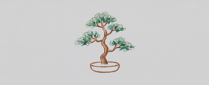 Beautiful bonsai tree illustration with artistic styling and natural green foliage