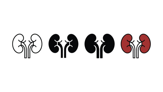 Set of human kidney icons in various artistic line and solid styles