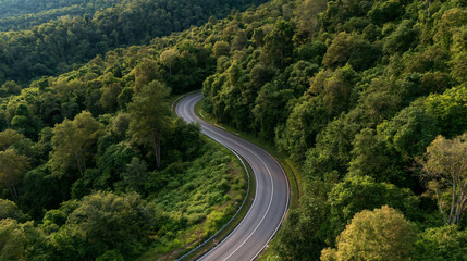 Fototapeta premium Winding Road Through Lush Forest: An aerial view captures a serpentine road cutting through a dense, vibrant green forest, hinting at adventure and exploration.