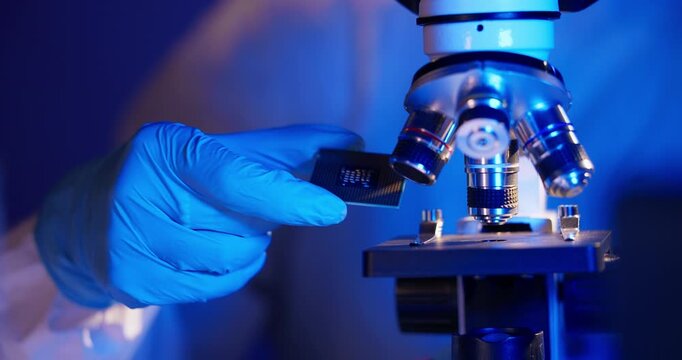 Lab technician holding AI cpu chip by microscope for control quality in laboratory artificial intelligence data center.
