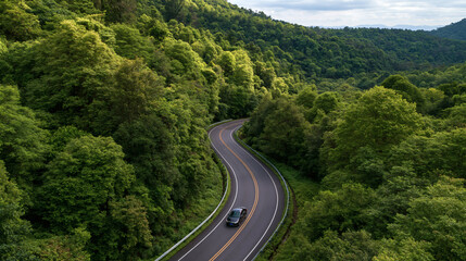 Fototapeta premium Serpentine Road Through Lush Forest: An aerial view captures a winding road carving through a dense, vibrant green forest, hinting at an adventurous journey ahead.