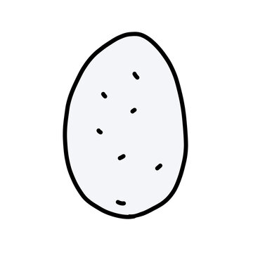 White Dinosaur egg History Hand drawn