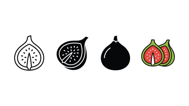 Set of four different fig fruit icons in linear silhouette and colorful flat design styles