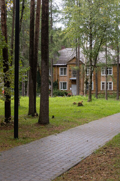 An old wooden two-story residential house seen through pine and birch trees with a paved walkway in a provincial Russian town. Northern architecture and quiet park setting.