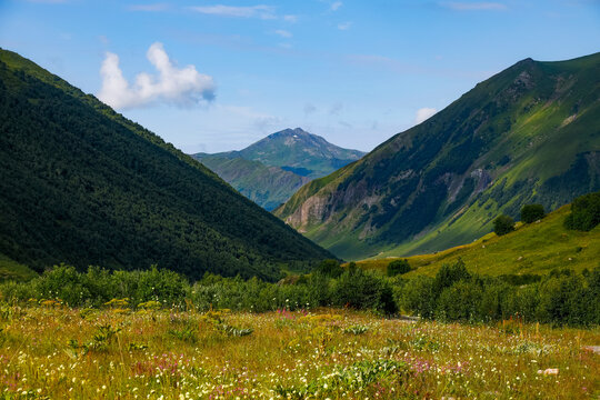 Mountain landscape of Svaneti on bright summer sunny day. Hills covered green grass and mountains background. Caucasus peaks in Georgia. Amazing view on wild georgian nature	