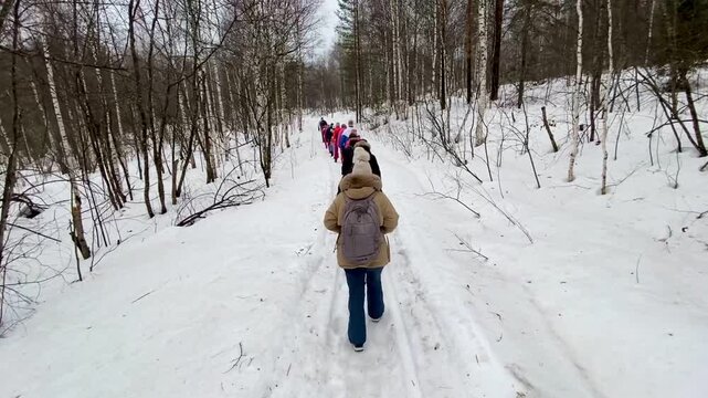 Group of tourists hiking with backpacks on snow trail in winter forest.