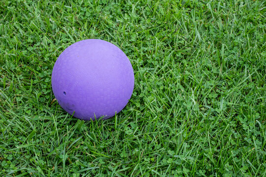 Purple dodgeball sitting on green grass lawn with copy space