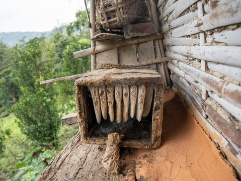 Traditional Bee Keeping