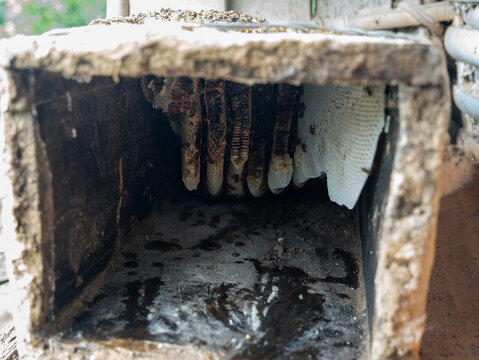 Traditional Bee Keeping