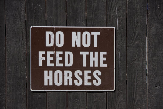 DO NOT FEED THE HORSES