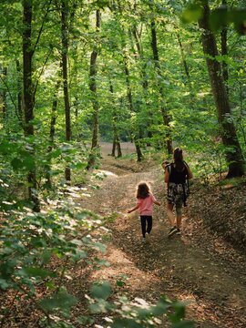 A woman walking in a forest with her children on a summer evening