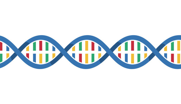 Colorful DNA double helix strand model with blue backbone and colorful base pairs on a white background.