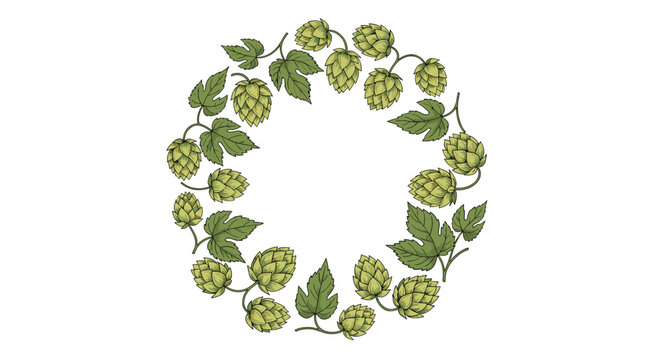 Artistic circular wreath design composed of green hop cones and leaves ideal for brewery logos or botanical themed decorations on white.