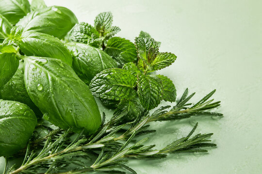 Fresh culinary herbs covered with clear water droplets