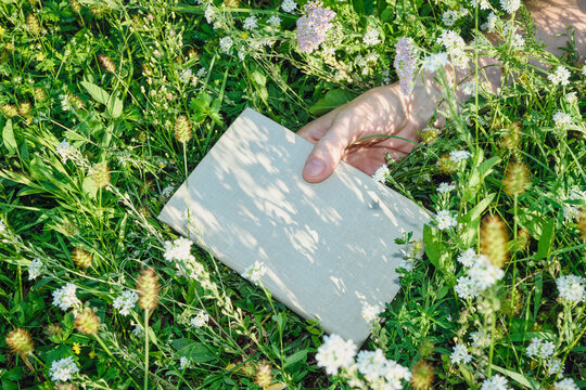 Hand holding book on green grass with wild flowers. Lost in Book concept