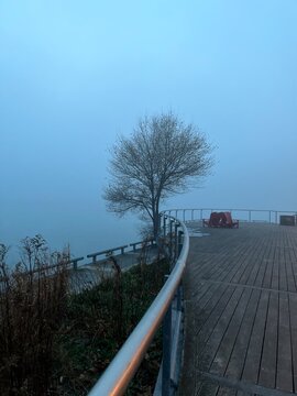 Foggy evening on the river,captured in Marilyn Bell Park,Toronto 