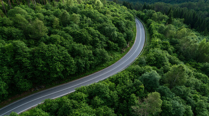 Fototapeta premium Winding Road Through Lush Forest