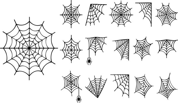 Detailed hand drawn spider webs and corner cobwebs for halloween design