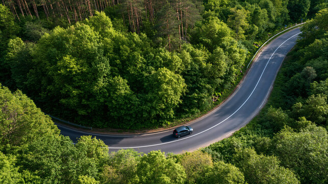 Winding Road Through Lush Forest: An aerial view captures a sleek car navigating a serpentine asphalt road that carves through a vibrant, dense forest canopy.
