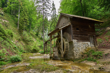 Eder-Mühle am Mühlenwanderweg, Plötz, Ebenau, Österreich © Susanne