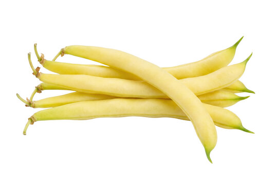 Fresh Bunch of Organic Yellow Wax Beans