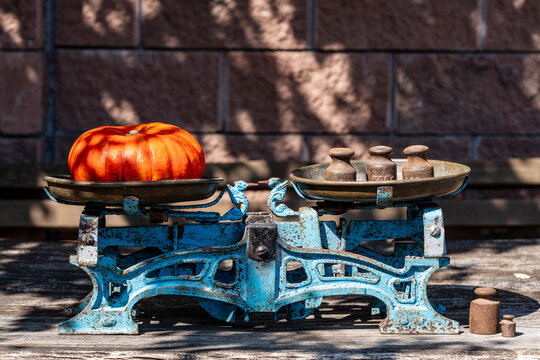 Old rusty scales weighing ripe pumpkin on wooden background, closeup. Vintage blue kitchen scale with orange pumpkin and old rusty weights on rustic wooden table background