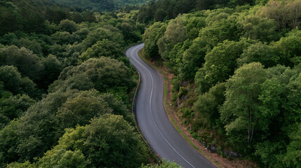 Fototapeta premium Winding Road Through Lush Forest: An aerial view of a solitary asphalt road curving through a dense, vibrant green forest, hinting at adventure and exploration.