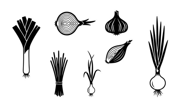 Minimal allium vegetable solid icons for onion garlic leek shallot chive scallion and spring onion