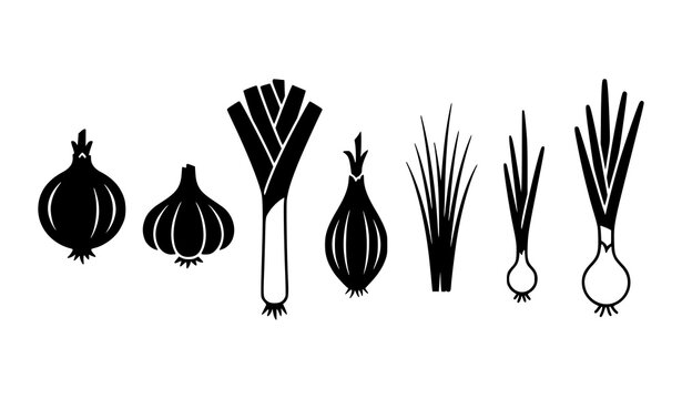 Allium vegetables solid filled icon set with onion garlic leek shallot chive scallion and spring onion