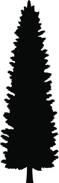 Cad tree lines Set of Pinetrees and Fir Trees Silhouettes isolated on white, conifer forest elements, pine tree shapes, Christmas tree contours, nature landscape vectors vactor