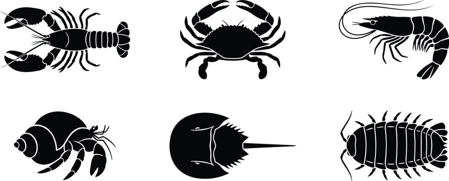 Crustacean marine life silhouette set lobster crab shrimp hermit crab horseshoe crab isopod vector.