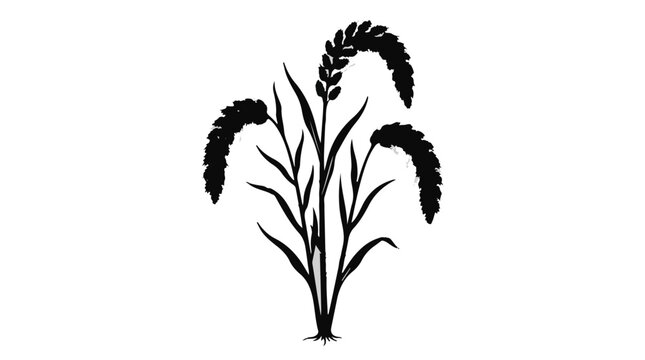 Cad tree lines Botanical Set Of Wild Millet, Foxtail Grass Sилhouette. Black Vector Illustration Of Plant Leaves And Panicles. Natural Element For Design. vactor